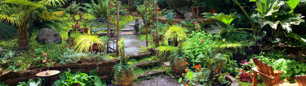 Blick in einen Garten mit sehr vielen Grünpflanzen und einem gepflasterten Weg mit Treppe in der Mitte des Bildes
